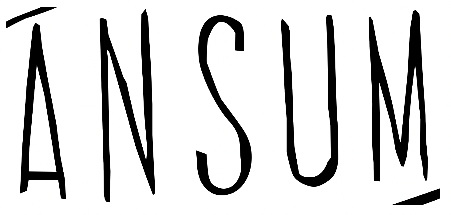Ansum Food Co — Porth, Cornwall — Vesuviano Forni client
